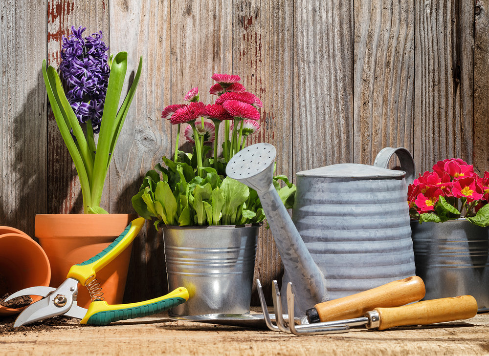 Flower care