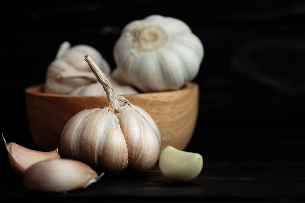 Garlic