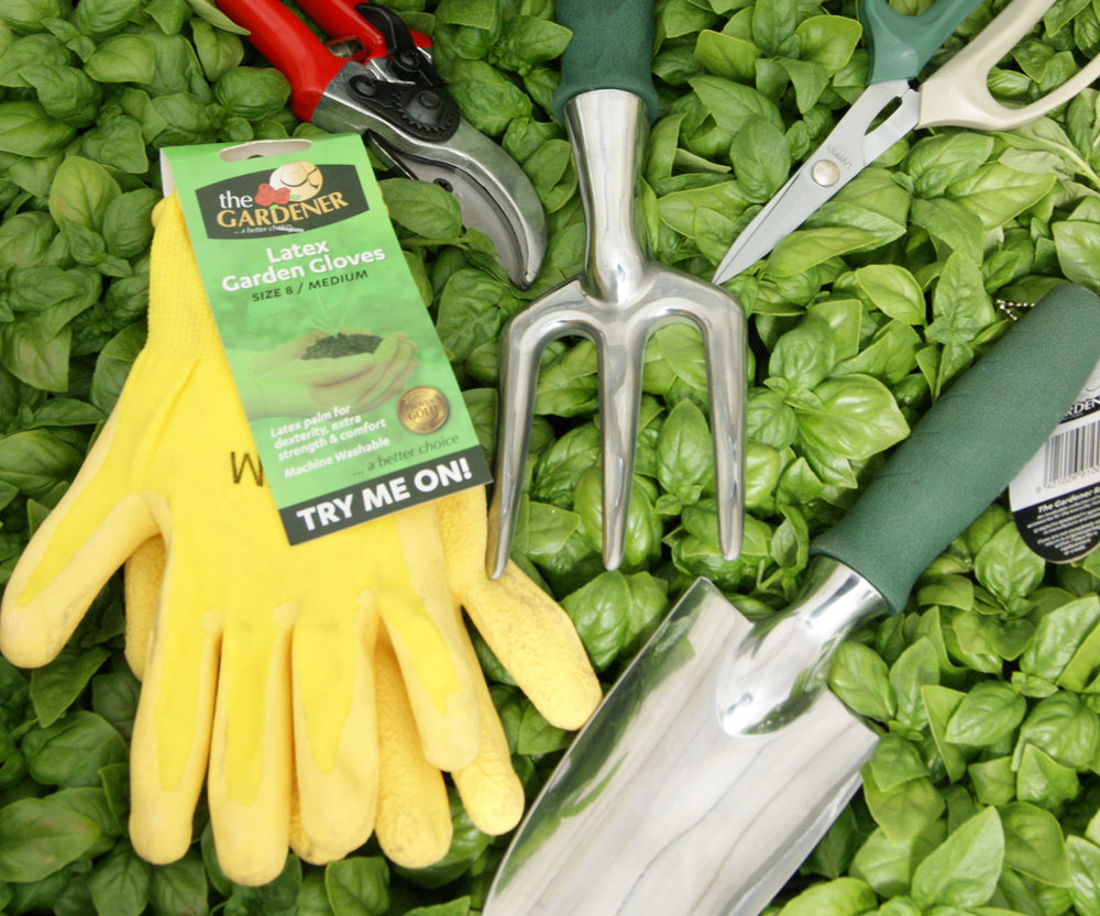 Tools & Gloves