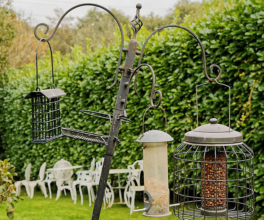 Wild Bird Feeders & Seed
