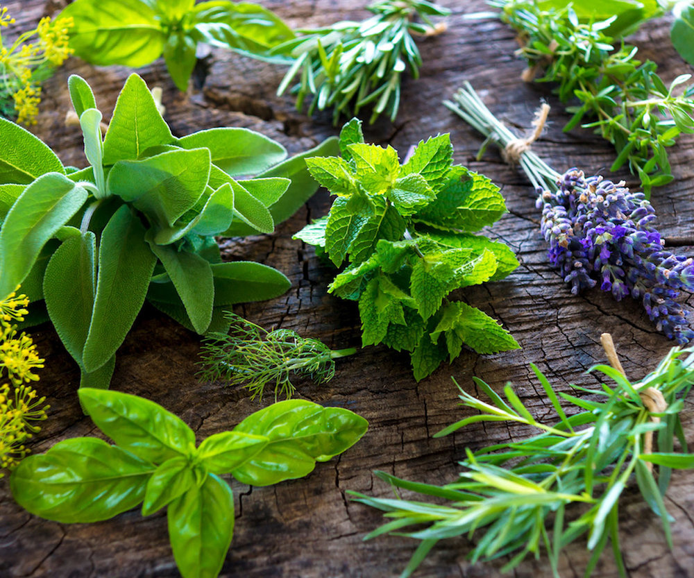 Regular & Bulk Herb Bundles