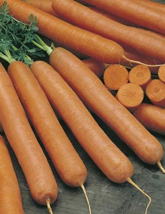 Carrot Early Nantes Organic