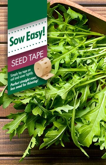 Rocket Seed Tape