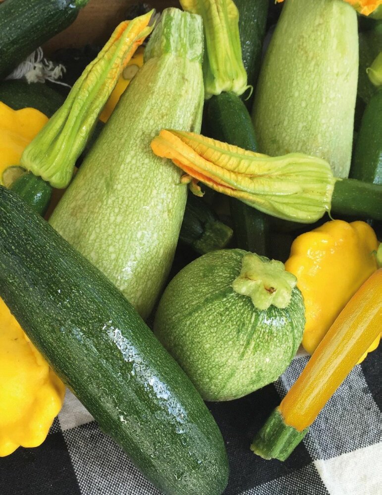 Zucchini Mix NZ Line Seeds