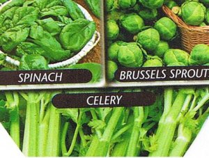 Mixed Veg - Celery, Brussels Sprouts, Spinach