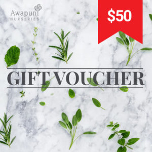 $50 Gift voucher
