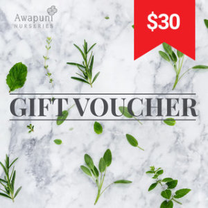 $30 Gift voucher