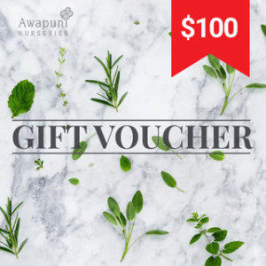 $100 Gift voucher