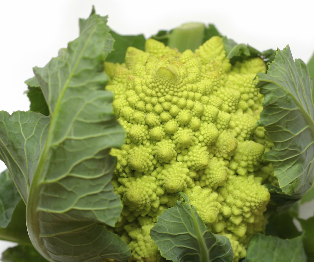 Broccoli - Italian Precoce