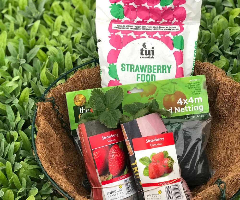 Strawberry Combo 4