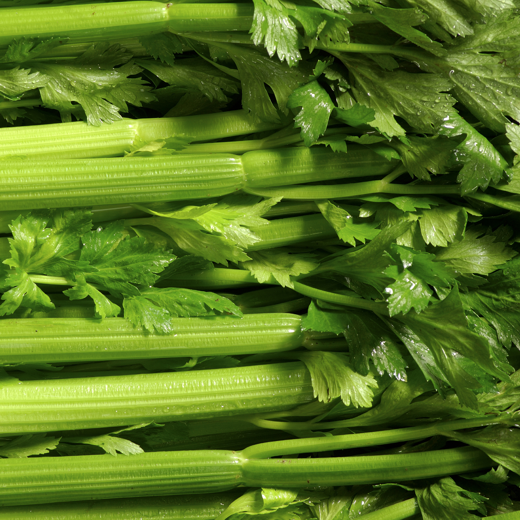 Green velvet soup