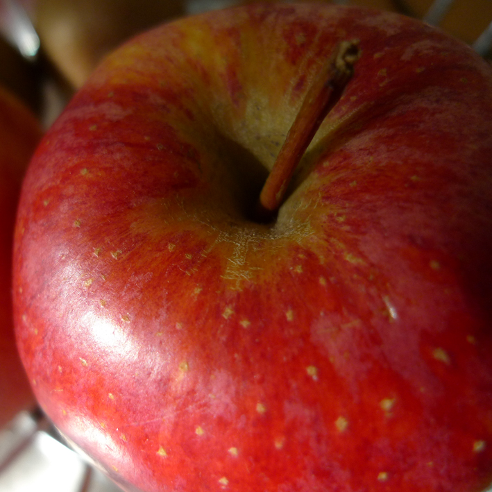 Apple and Pear Cider